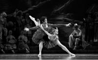 Феерия танца / Международный фестиваль классического балета им.Р.Нуриева